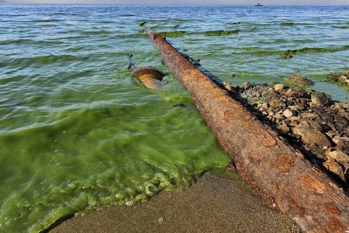 Vypuštěné Lipno odhalilo desítky černých výpusťí