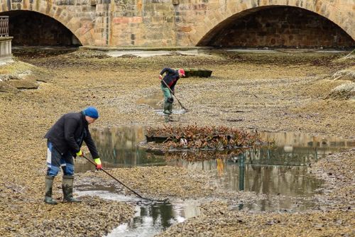 Plzeň zahájí jarní čištění Mlýnské strouhy, ryby dočasně putují do sádek