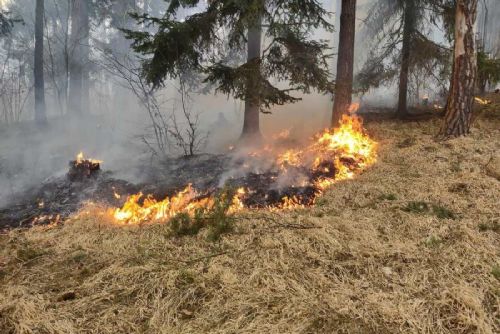 Požáry v Jihočeském kraji: 1 169 událostí a osm obětí v roce 2025