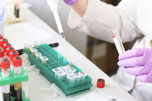 Revoluční materiál: Ničí mikroorganismy bez rezistence