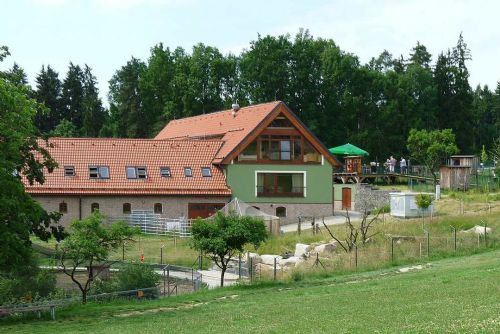Táborská zoo hledá nový domov pro zachráněné vlky