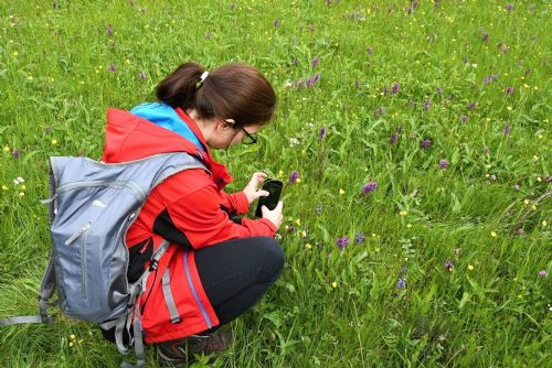 Tenhle kalendář vás vytáhne ven! Desítky výprav do přírody v západních Čechách