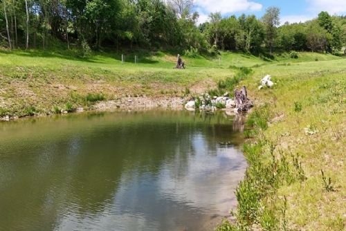 Vohančice získaly Cenu za krajinu. Obnovily potok, přidaly tůně a vysadily tisíce dřevin