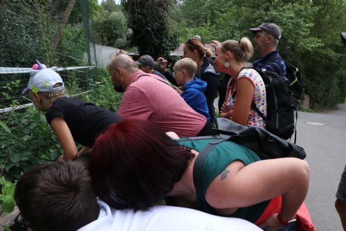 Zažijte magii plzeňské zoo za soumraku! Rezervujte si místo raději hned