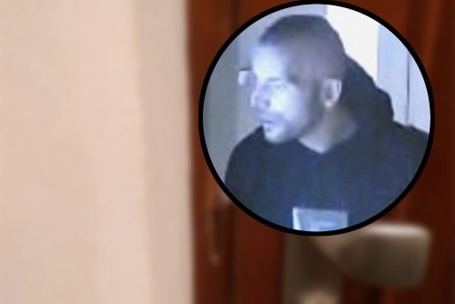 Zloděj na Skvrňanech se vloupal do domu, škoda za desítky tisíc, policie žádá o pomoc