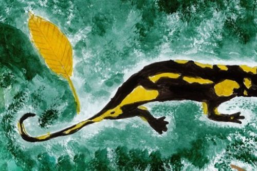 Brdy slaví 10 let a zvou děti k tvorbě. Nová soutěž hledá krajinu i zvířata očima mladých