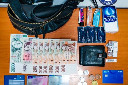 Čtrnáctiletý chlapec v Plzni vrátil ledvinku s penězi