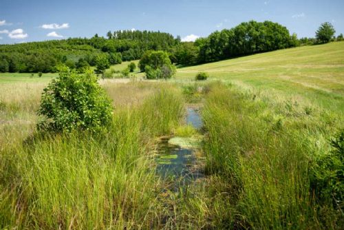 Moravskoslezské potoky se vrací k přírodě: zpomalení odtoku a podpora biodiverzity