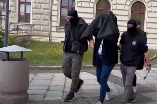 Na plzeňském Krajském úřadě padlo 9 obvinění