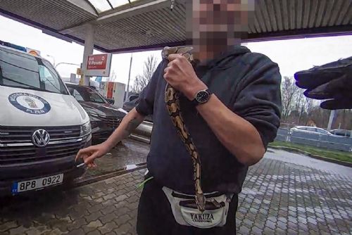 Opilec s krajtou obviněn z loupeže a výtržnictví