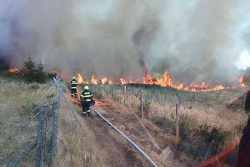 Požár lesa u Studence zaměstnal 18 jednotek. Hasiči nasadili i vrtulník s bambivakem