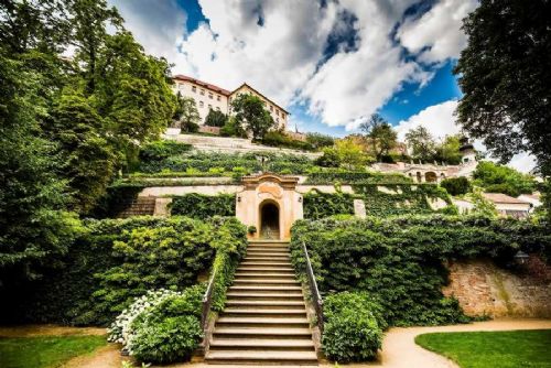 Pražský hrad jako městská oáza: stovky druhů organismů a dosud neznámý roztoč