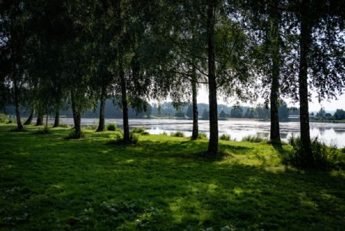 Revitalizace rybníka Rosnička odstraní tisíce kubíků bahna, město investuje 30 mil. Kč
