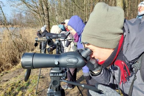 Světový den mokřadů, soutok Mže a Úhlavky přitáhl ornitology