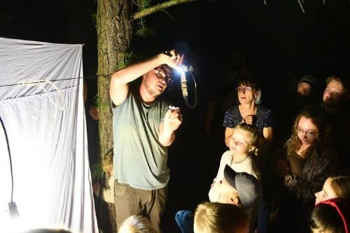 Tajemná noc v Luftově zahradě. Plzeňané budou lákat motýly a poslouchat netopýry