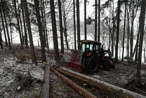 Tragédie u Horažďovic, muž zemřel při kácení stromu