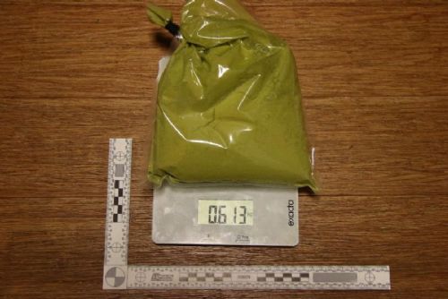 V Plzni v Křimické ulici zasahovala protidrogová centrála. Kontrolovala kratom i syntetické kanabinoidy