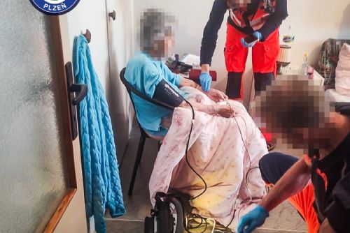 Volání o pomoc z bytu na Doubravce nepřeslechl soused. Strážníci našli zmatenou seniorku