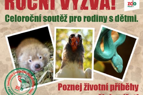 Zoo Plzeň láká rodiny na unikátní safari výzvu - poznej zvíře, získej odměnu