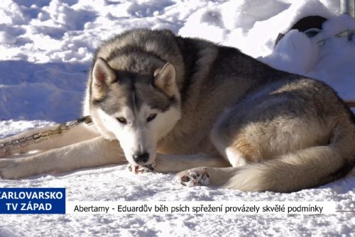 Abertamy: Eduardův běh psích spřežení provázely skvělé podmínky (TV Západ)