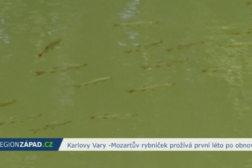 Karlovy Vary: Mozartův rybníček prožívá první léto po obnově (TV Západ)