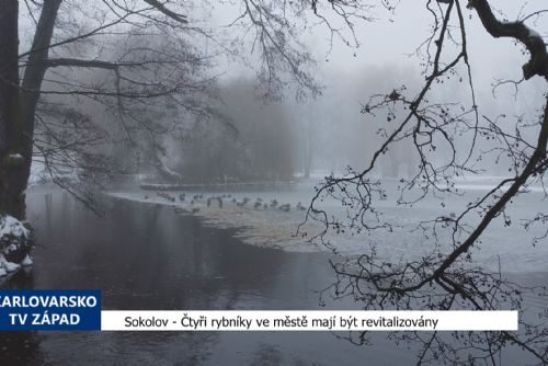 Sokolov: Čtyři rybníky ve městě mají být revitalizovány (TV Západ)