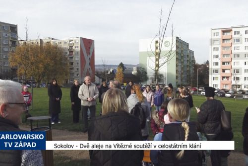 Sokolov: Dvě aleje na Vítězné soutěží v celostátním klání (TV Západ)