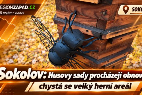 Sokolov: Husovy sady procházejí obnovou, chystá se velký herní areál (TV Západ)