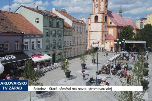 Sokolov: Staré náměstí má novou stromovou alej (TV Západ)
