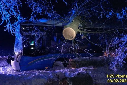 Autobus na severním Plzeňsku sjel do příkopu, strom prorazil střechu