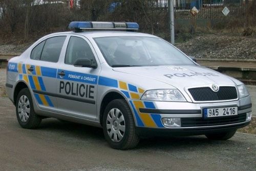 Celostátně hledaný recidivista zranil policistu v Holýšově