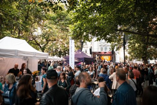 Do centra Plzně míří jarní festival vína. Přiveze desítky vinařství i večerní koncerty