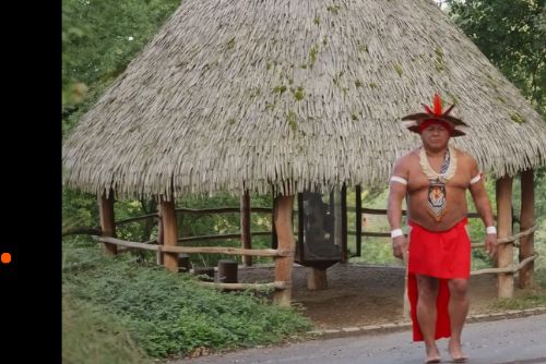 Indiánský náčelník tesá v plzeňské zoo obří kánoe. Návštěvníci sledují jejich vznik naživo