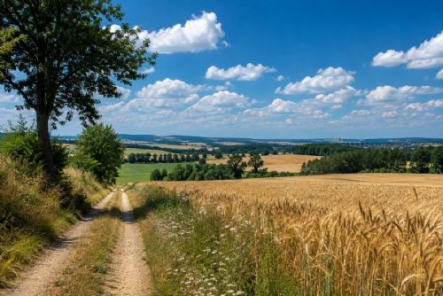 Na Vysočině vrcholí vlna veder. Na Jihlavsku může být až 38 °C, hrozí bouřky i zvýšené riziko požárů