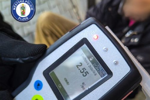 Opilý muž v Borské ulici nadával strážníkům, pak zaútočil. Skončil na záchytce