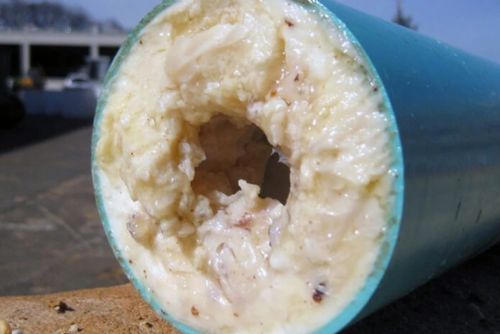 Plzeňská vodárna varuje. Olej po smažení do odpadu nepatří, může ucpat kanalizaci