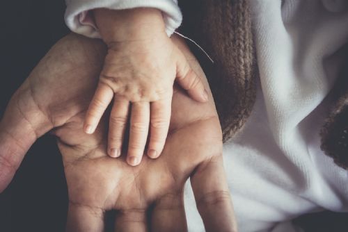 Boom přechodných pěstounů v Plzeňském kraji, v roce 2025 přibylo 23 rodin