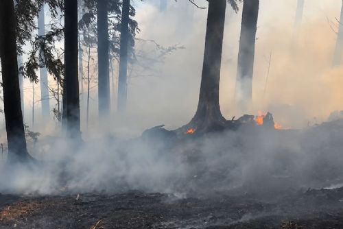 Požár pole na Klatovsku se rozšířil do lesa. Hasičům komplikoval zásah vítr