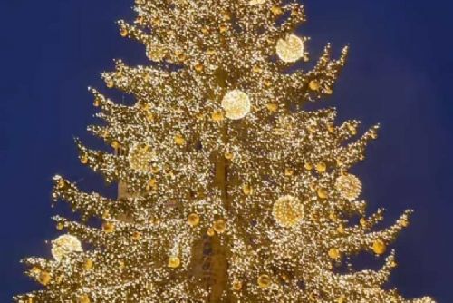 Praha rozsvítila vánoční strom na Staroměstském náměstí: Začaly trhy a slavnostní show