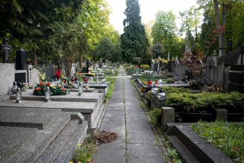 Špačci sužují hřbitov v Prostějově. Radnice zasahuje!
