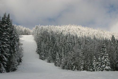 Špičák i přes oblevu drží 50 cm sněhu a večerní lyžování
