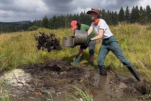 Šumavské mokřady obnoveny: 150 milionů a 1 800 dobrovolníků