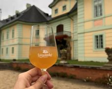 Manětínské vinobraní 26. září v zámeckém parku. Novinkou vinná stezka a soutěž