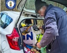 U Ostende přistihli důchodce při vyhazování odpadu do lesa. Hájil se hnojením stromů