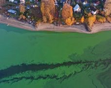 Zelený led na Lipně zaujal vědce i satelity. Neobvyklý jev souvisí se sinicemi