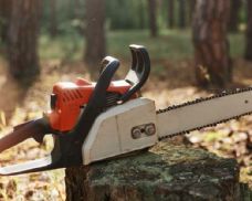 Jihlava obnovuje městskou zeleň, po kácení suchých stromů plánuje nové výsadby