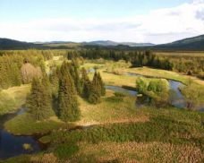 Šumava slaví 35 let: od zásahů k návratu divočiny