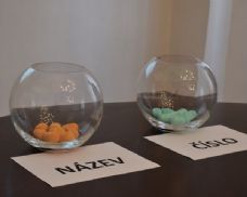 Volební los v Plzni rozhodl. Třináct kandidátek i osm senátních uskupení zná pořadová čísla